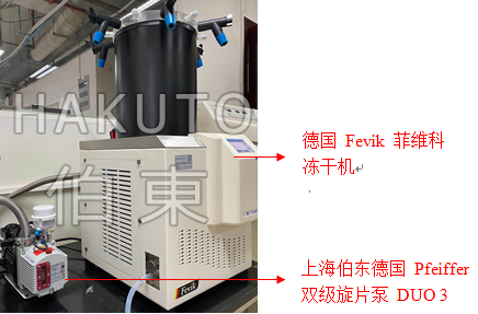 雙級旋片泵應用于凍干機設備
