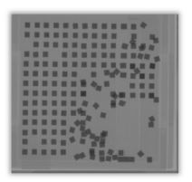 Gel-Pak 超小芯片運(yùn)輸解決方案