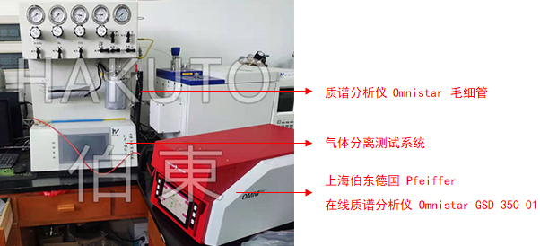 在線質(zhì)譜分析儀與氣體分離測試系統(tǒng)聯(lián)用